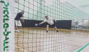 Image result for Pickleball Bournemouth