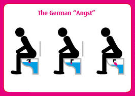 Image result for german toilet