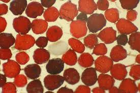 Attēlu rezultāti vaicājumam “Bryum rubens”