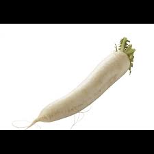 Image result for Rettich