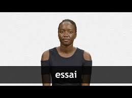 Image result for essai