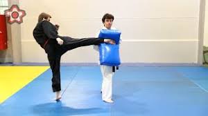 Image result for Goshin Ryu Atemi JuJitsu