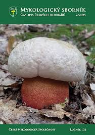 Attēlu rezultāti vaicājumam “Hyphodiscus hymeniophilus”