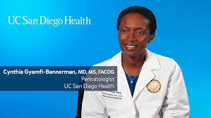 Attēlu rezultāti vaicājumam “Pandemis cinnamomeana female”