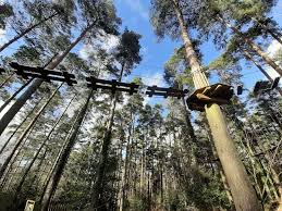 Image result for Go Ape! Alice Holt