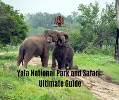 Image result for Яла заповедник