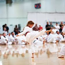Image result for Martial Arts New Jersey