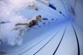 Image result for Hazel Grove & Bramhall Swimming Club