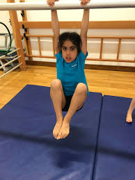 Image result for Treasure Gymnastics