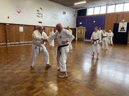 Image result for Plymouth Karate Club Kyokai