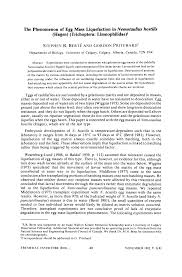 Attēlu rezultāti vaicājumam “Trichoptera egg mass”