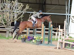 Image result for Winchester Riding Club