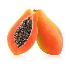 Image result for Carica papaya