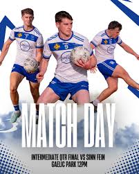 Image result for Wolfe Tones Gaelic Athletic Club