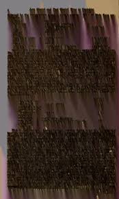 Attēlu rezultāti vaicājumam “Diderma montanum var. album young”