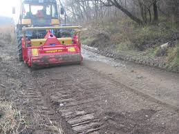 Image result for seppi tehron