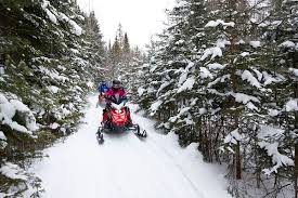 Image result for snowmobile