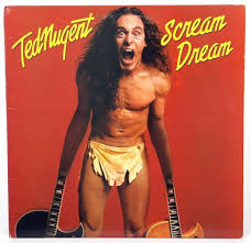 Image result for Worst album covers