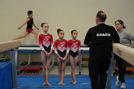 Image result for Phoenix Gymnastics Club