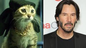 Image result for keanu