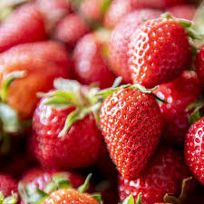 Attēlu rezultāti vaicājumam “Fragaria x ananassa”