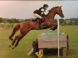 Image result for Uwe Riding Club