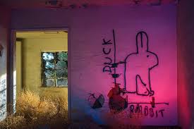 Attēlu rezultāti vaicājumam “Jalla dumosa imago”