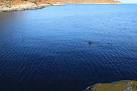 Basking Shark on the east coast of Raasay - via Daymix