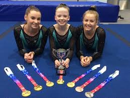 Image result for Wiltshire School Of Gymnastics