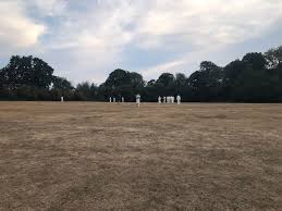 Image result for Downe Cricket Club