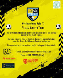 Image result for Woodmansterne Sports Fc