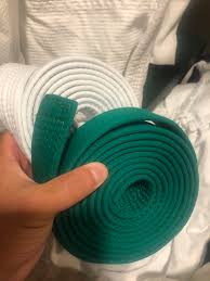 Image result for Court Lane Judo Club