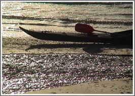 Image result for Stornoway Canoe Club