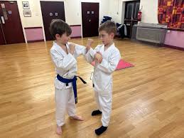 Image result for Ynys Mon Shukokai Karate Club, North Wales