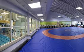 Image result for Rise Above Wrestling