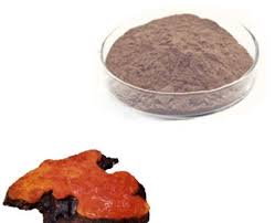 Attēlu rezultāti vaicājumam “Antrodia”