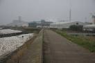 On the seaward side of Novartis, the trunking to the right of picture - via Daymix