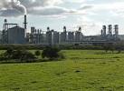 a synthetic resin at high - via Daymix