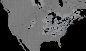 Attēlu rezultāti vaicājumam “Serpoleskea confervoides”