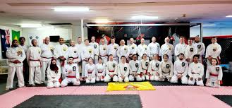 Image result for Silat Pd (Perisai Diri) UK