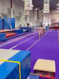 Image result for Hull High Flyers Gymnastics Club