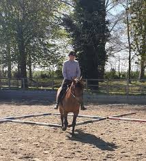Image result for Bookham Riding School