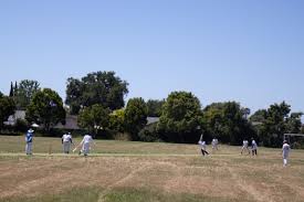 Image result for Fives and Heronians Cricket Club