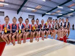 Image result for Pinewood Gymnastics Club