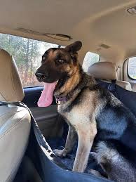 Image result for busch 8791