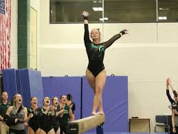 Image result for Kendal School Of Gymnastics