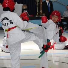 Image result for Utf Jaguar Tkd