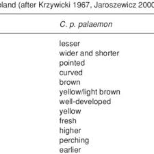 Attēlu rezultāti vaicājumam “Carterocephalus silvicolus underside”
