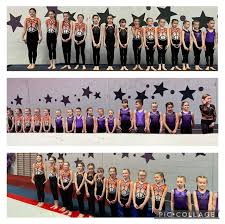 Image result for Cardiff Olympic Gymnastics Club