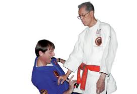 Image result for Komaru Ryu Small Circle Jujitsu/Karate